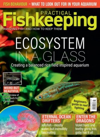Practical Fishkeeping - January 2026 Magazine