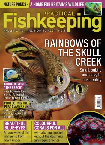 Practical Fishkeeping - June 2026 cover