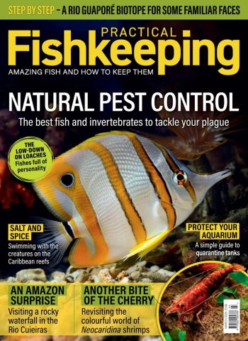 Practical Fishkeeping - March 2026 cover
