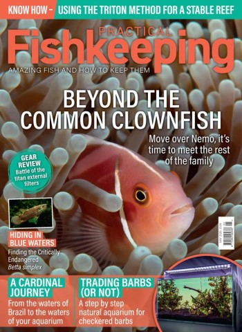 Practical Fishkeeping - May 2026 cover