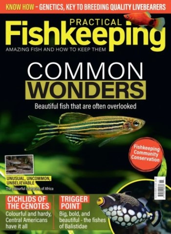 Practical Fishkeeping - November 2025 Magazine