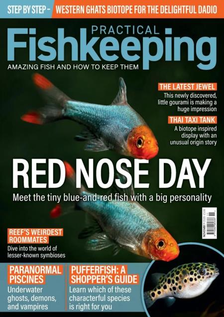 Practical Fishkeeping - November 2026 Magazine