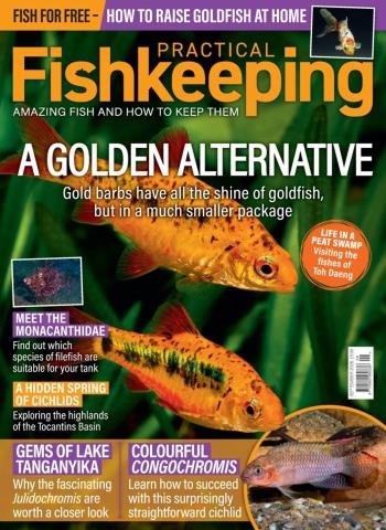 Practical Fishkeeping - September 2026 cover