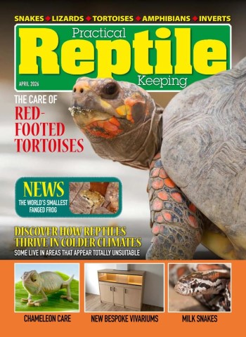 Practical Reptile Keeping - April 2026 cover