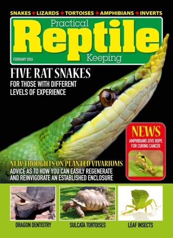 Practical Reptile Keeping - February 2026 Magazine