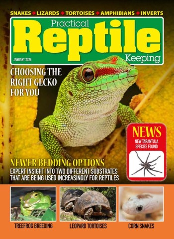 Practical Reptile Keeping - January 2026 cover