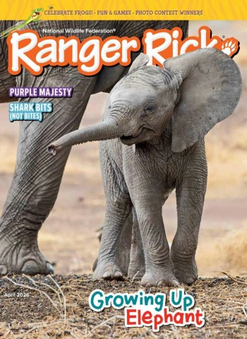 Ranger Rick - April 2026 Magazine