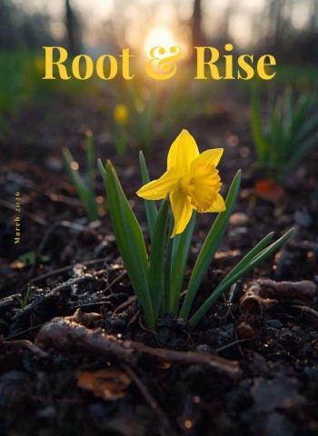 Root & Rise - March 2026 cover