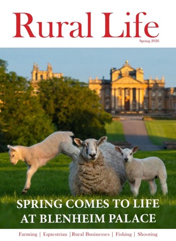 Rural Life - Spring 2026 cover