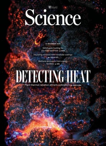 Science - December 11, 2025 Magazine