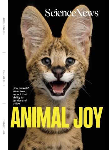 Front cover of Science News - February 2026 magazine issue