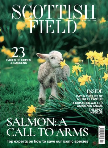 Scottish Field - April 2026 cover