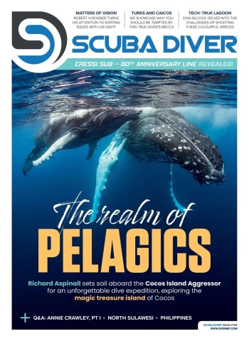 Scuba Diver - 25 April 2026 cover