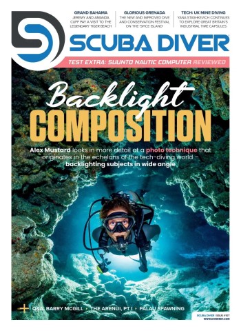 Scuba Diver - 25 February 2026 cover