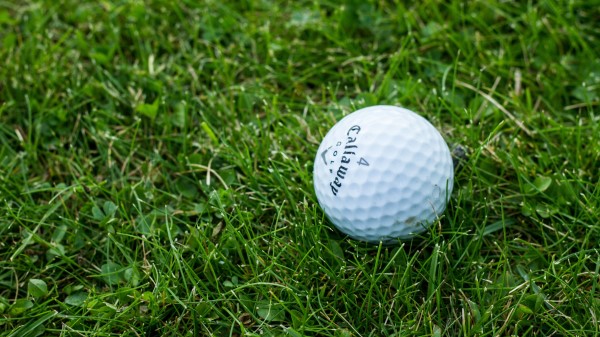 Golf Ball Grass wallpaper