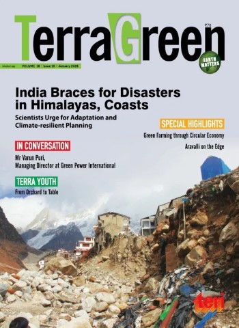 TerraGreen Magazine - January 2026 cover