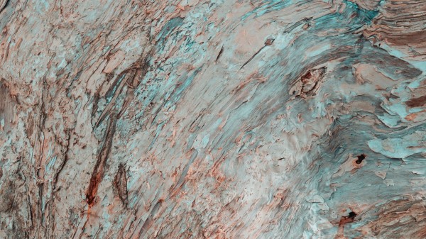 Bark Tree Texture Image wallpaper