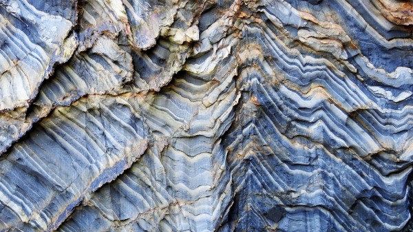 Bark Wood Wooden wallpaper