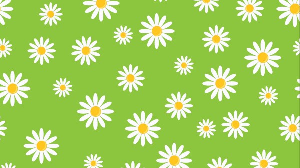 Chamomile Patterns Texture wallpaper