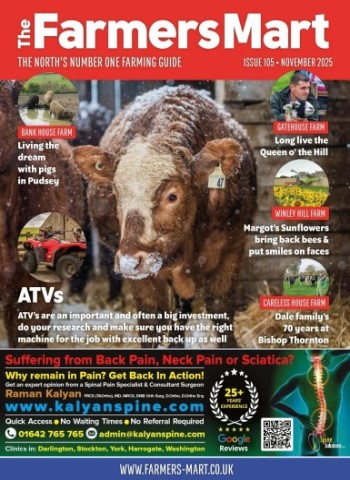 The Farmers Mart - November 2025 Magazine