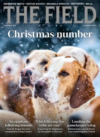The Field - December 2025 Magazine