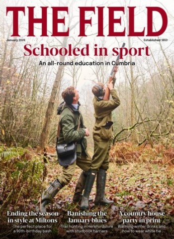 The Field - January 2026 Magazine