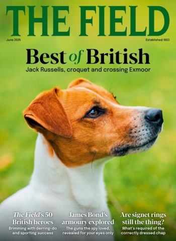 The Field - June 2026 Magazine