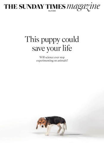 The Sunday Times Magazine - May 31, 2026 cover