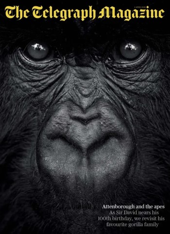 The Telegraph Magazine - 4 April 2026 cover