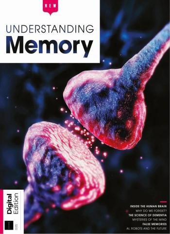 Understanding Memory - 2nd Edition - 9 April 2026 cover