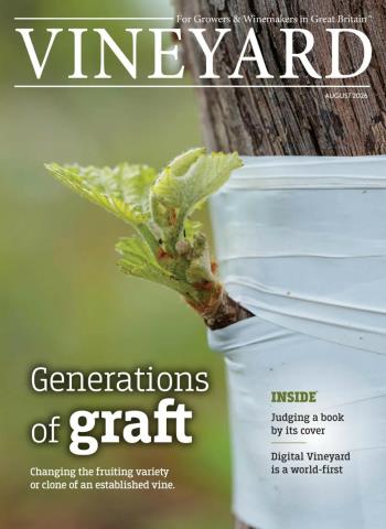 Vineyard - August 2026 Magazine