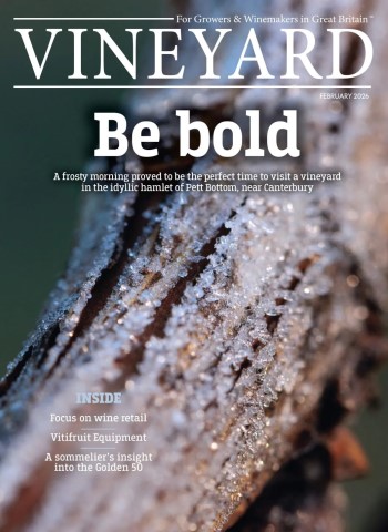 Vineyard - February 2026 cover