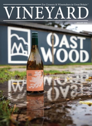 Vineyard - January 2026 Magazine