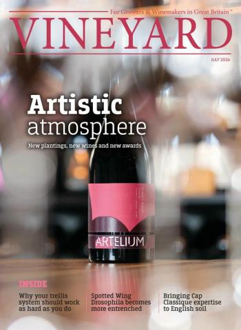 Vineyard - July 2026 cover
