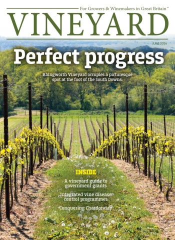 Vineyard - June 2026 cover