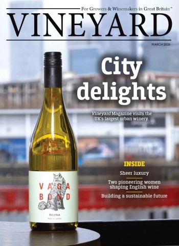 Vineyard - March 2026 cover