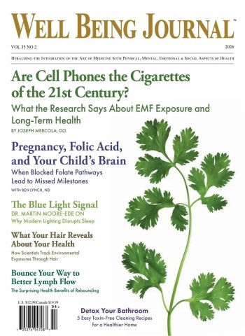 Well Being Journal - Volume 35 Issue 2, 2026 cover