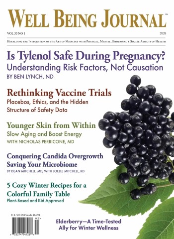 Well Being Journal - Volume 35 No.1 2026 cover