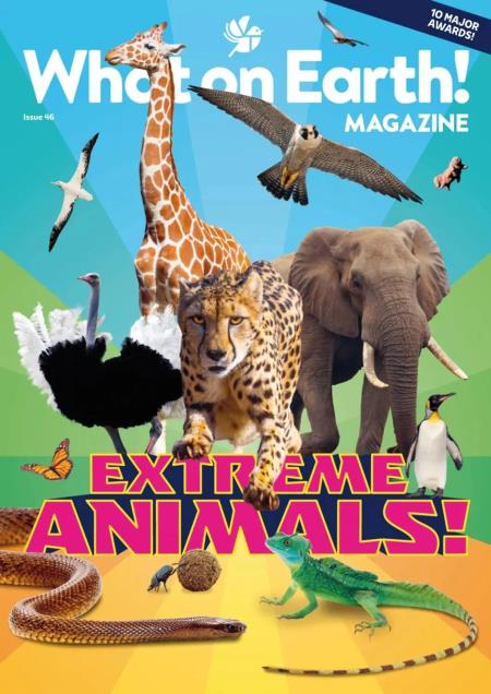 What on Earth! Magazine - October 2026 cover