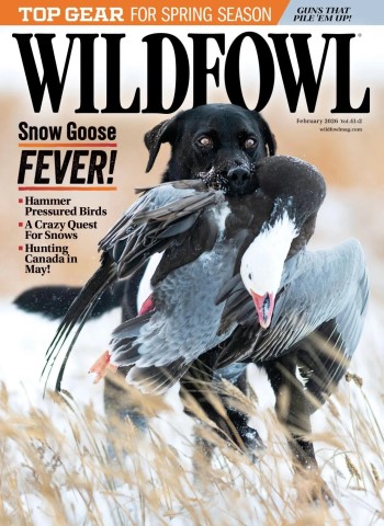 Wildfowl - February 2026 cover