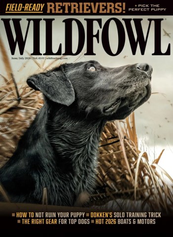 Wildfowl - June-July 2026 cover