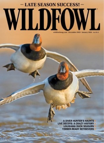 Wildfowl - Vol. 41, Issue 1, December 2025 January 2026 Magazine