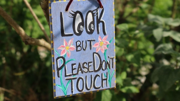 Inscription Funny Words Wallpaper