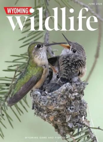 Wyoming Wildlife - June 2026 Magazine