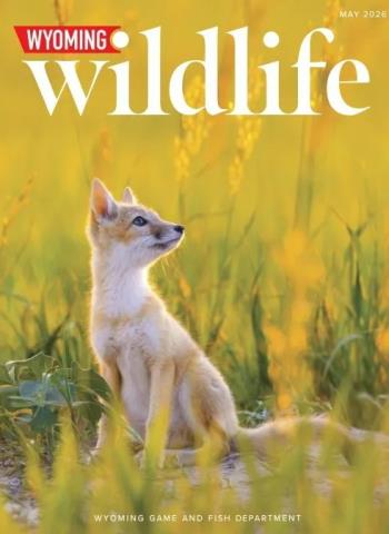 Wyoming Wildlife - May 2026 cover