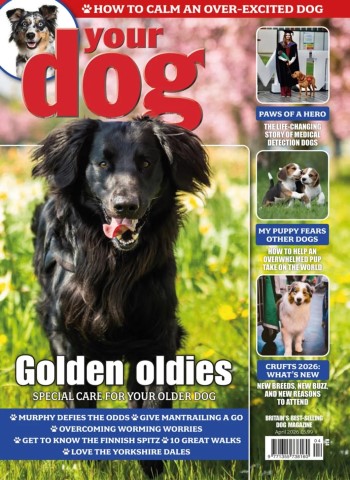 Your Dog - April 2026 cover