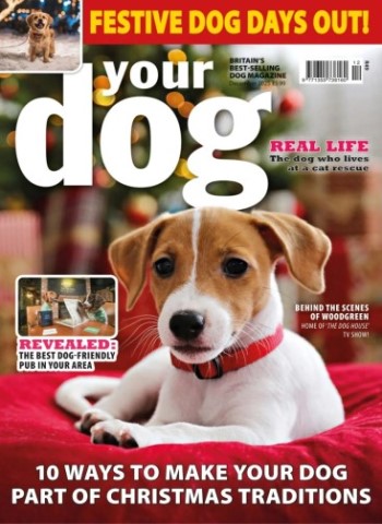 Your Dog - December 2025 Magazine