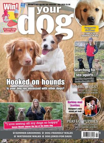 Your Dog - July 2026 Magazine