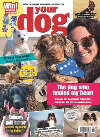 Your Dog - June 2026 cover