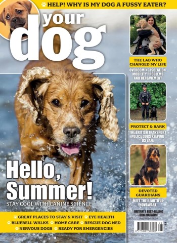 Your Dog - May 2026 cover